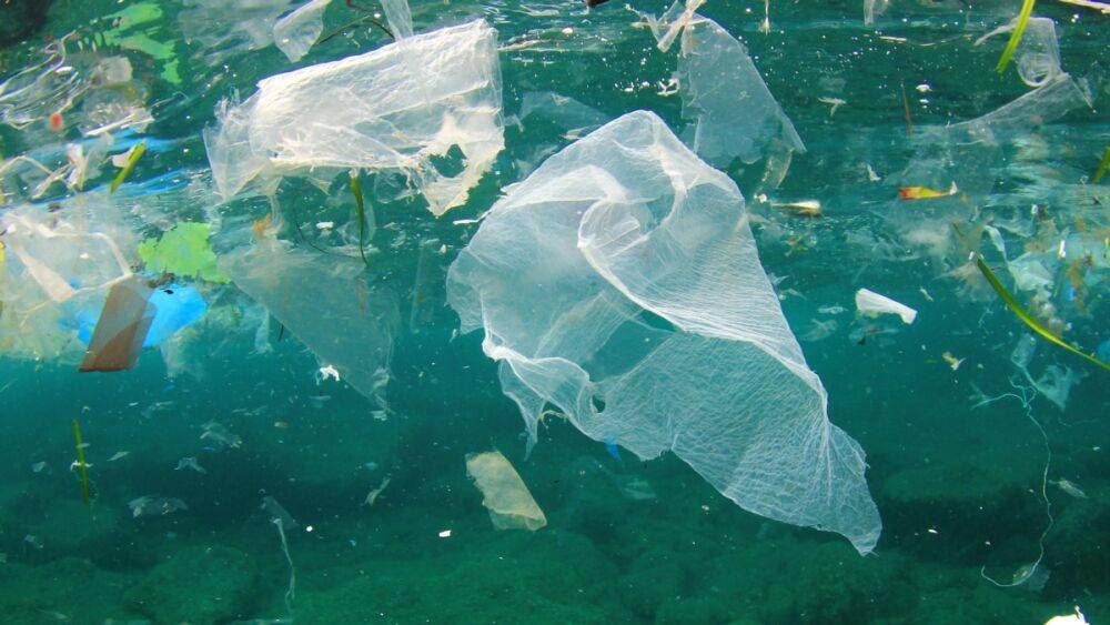 Индия частично запретила использовать одноразовый пластик
