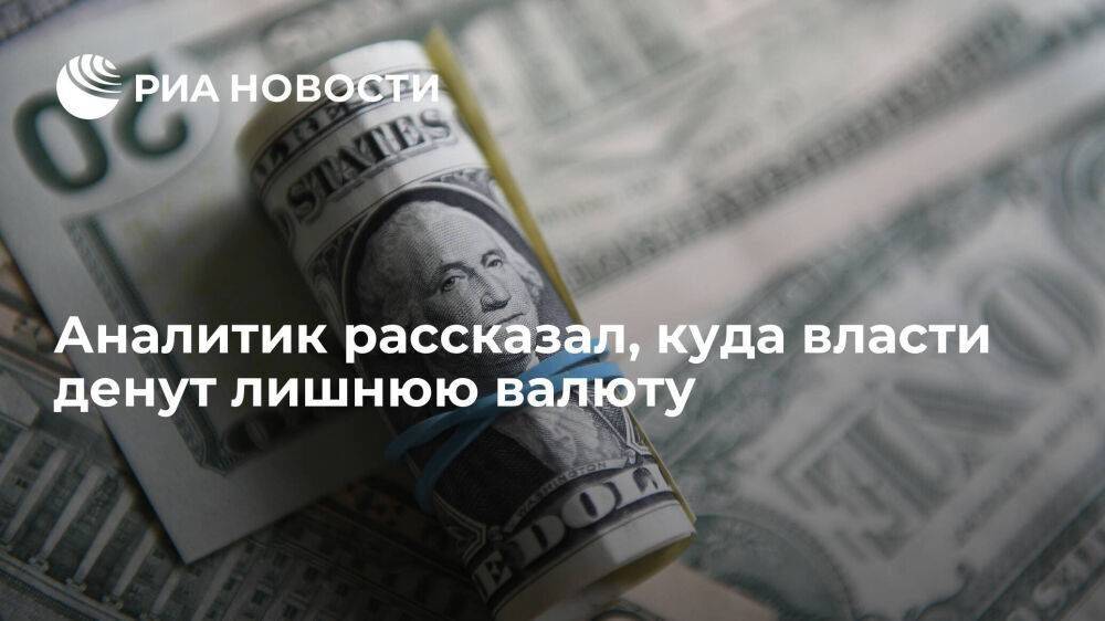 Аналитик Миронюк предположил, что Банк России и Минфин будут откладывать валюту в фонды