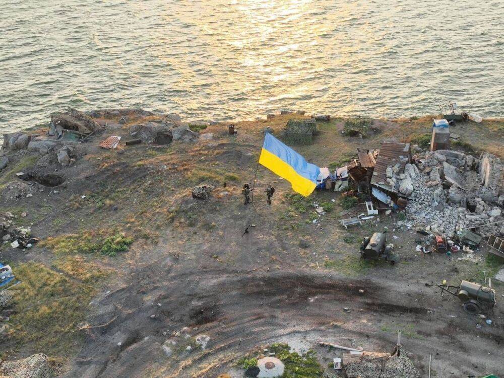 Украинские военные разминировали Змеиный и эвакуировали с острова кота, три месяца прожившего в оккупации