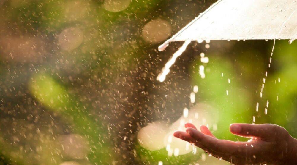 Жара и дожди: синоптики дали прогноз на 21 июля