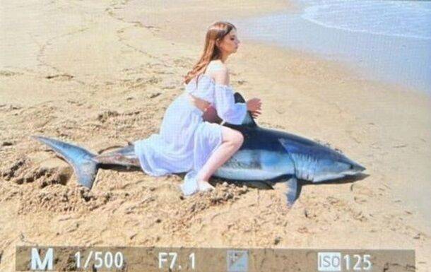 Россияне убили акулу ради фотографий