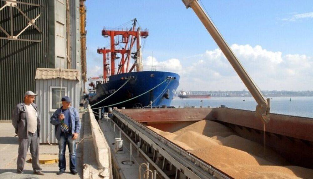 Представитель Украины на переговорах с рф рассказал, как будет происходить экспорт украинского зерна