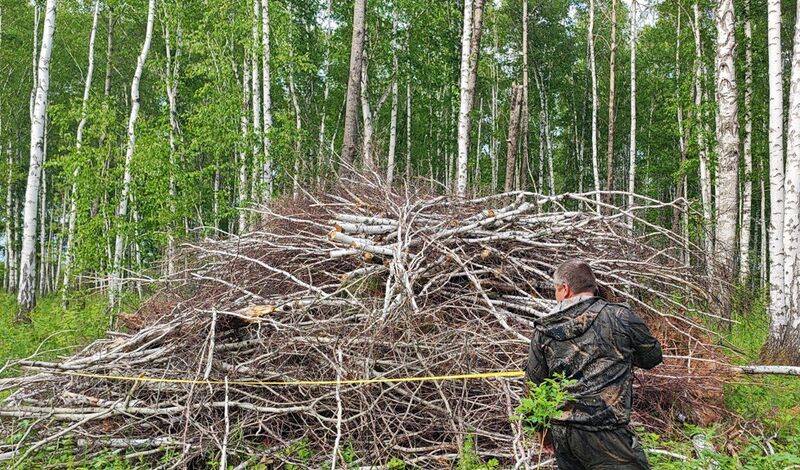 Тюменские леса проверили на соблюдение правил пожарной безопасности
