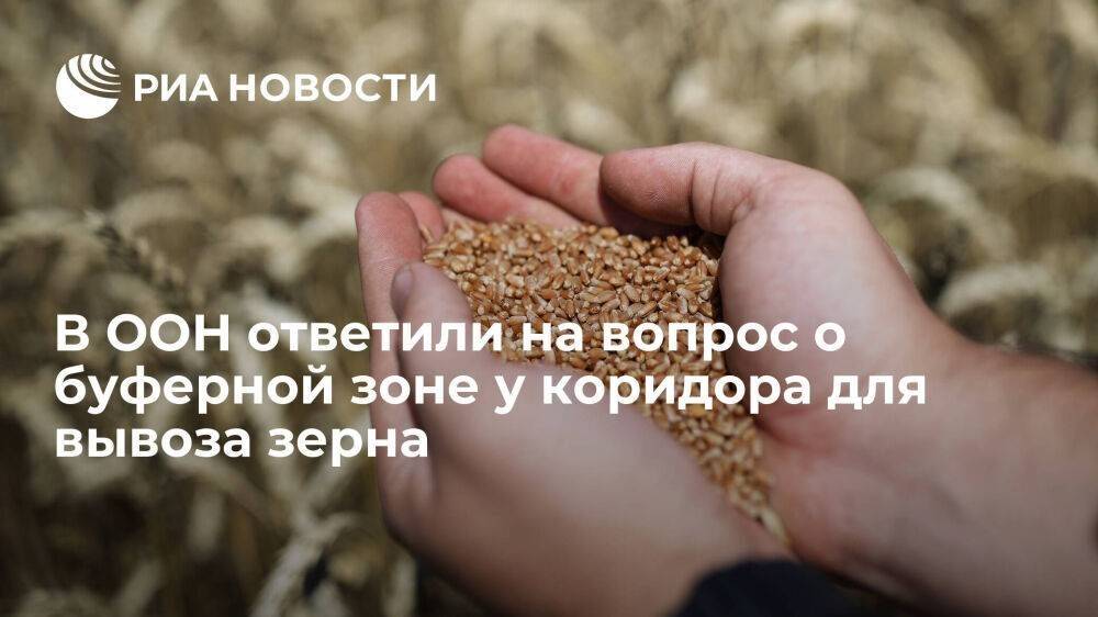 Замгенсека ООН Гриффитс: размер буферной зоны для вывоза зерна с Украины пока не определен