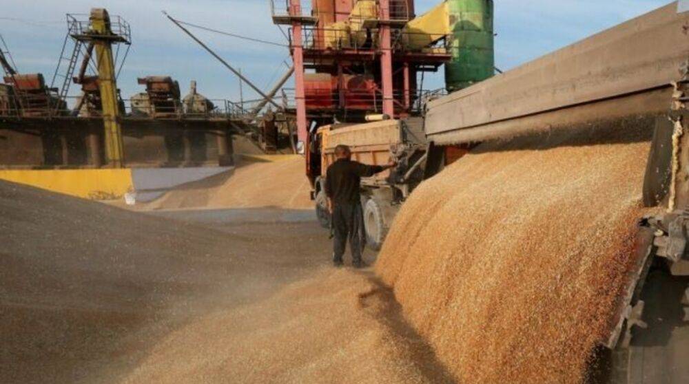 Запуск экспорта зерна готовят, несмотря на обстрел Одесского порта – Мининфраструктуры