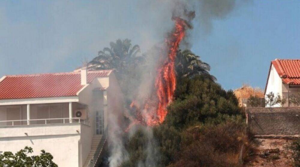 Из-за аномальной жары Грецию охватили масштабные лесные пожары