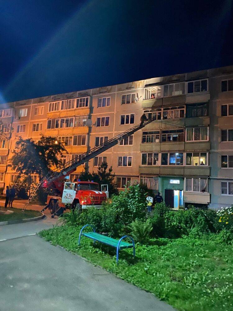 В Тверской области пожарные с помощь автолестницы помогли восстановить связь между родственниками