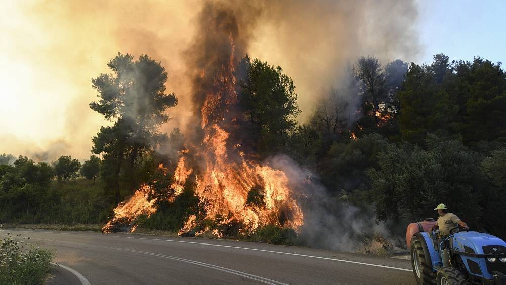 Пожары и засуха уничтожают леса и поля в Европе