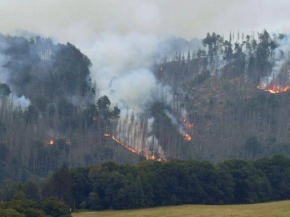 Сотни пожарных тушат лесные пожары в Германии и Чехии
