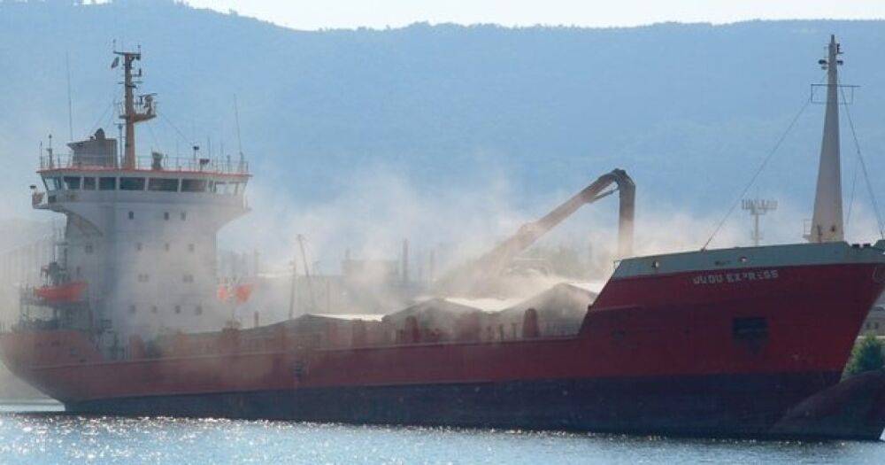 Экспортировать украинское зерно будут корабли стран Черноморского региона, — Кубраков