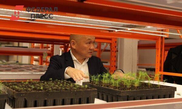 В Иркутске тестируют первые вертикальные фермы