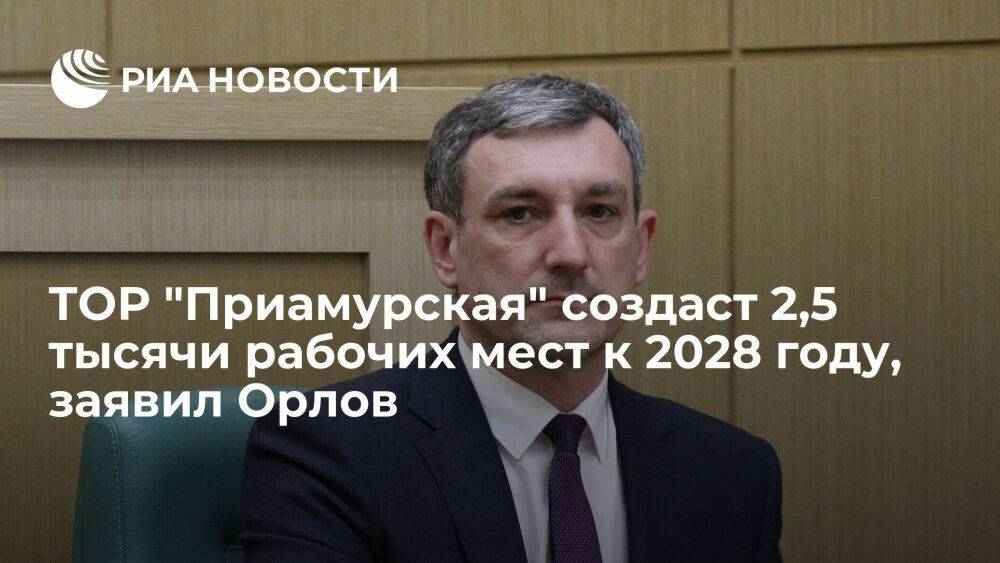 Губернатор Орлов заявил, что ТОР "Приамурская" создаст 2,5 тысячи рабочих мест к 2028 году