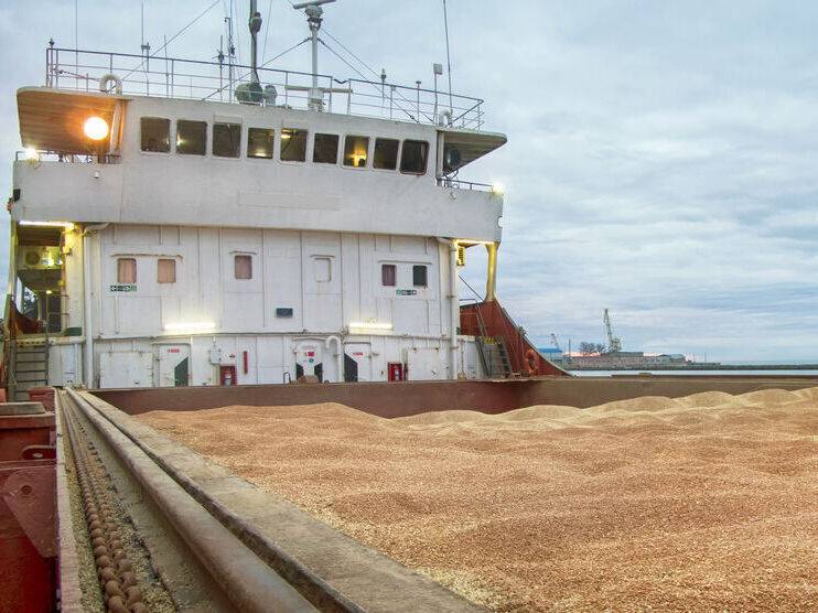 Первое судно с зерном может выйти из украинского порта 29 июля – ООН