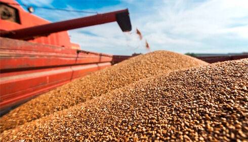 FAO оголосить тендер на закупівлю обладнання для зберігання українського зерна