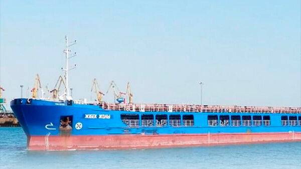 В Турции задержали российское судно с зерном из оккупированного Бердянска - посол