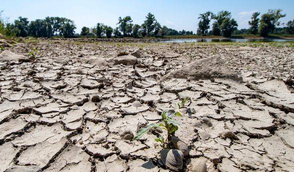 В Испании и Португалии беспрецедентная засуха за последние 1200 лет