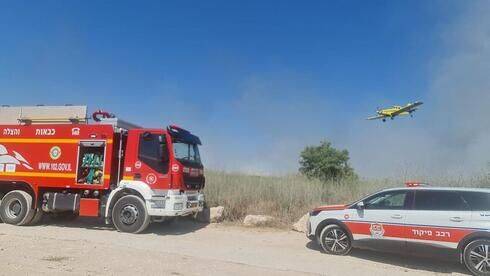 Пожар в центре Израиля: 1100 подростков эвакуировали из леса возле Рамле