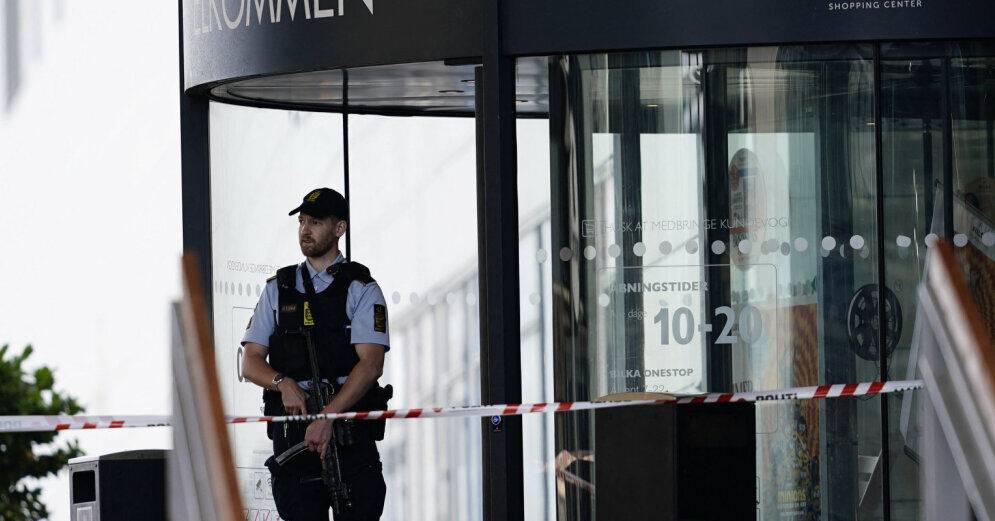 "Копенгагенский стрелок" предстал перед судом и обвинен в убийстве