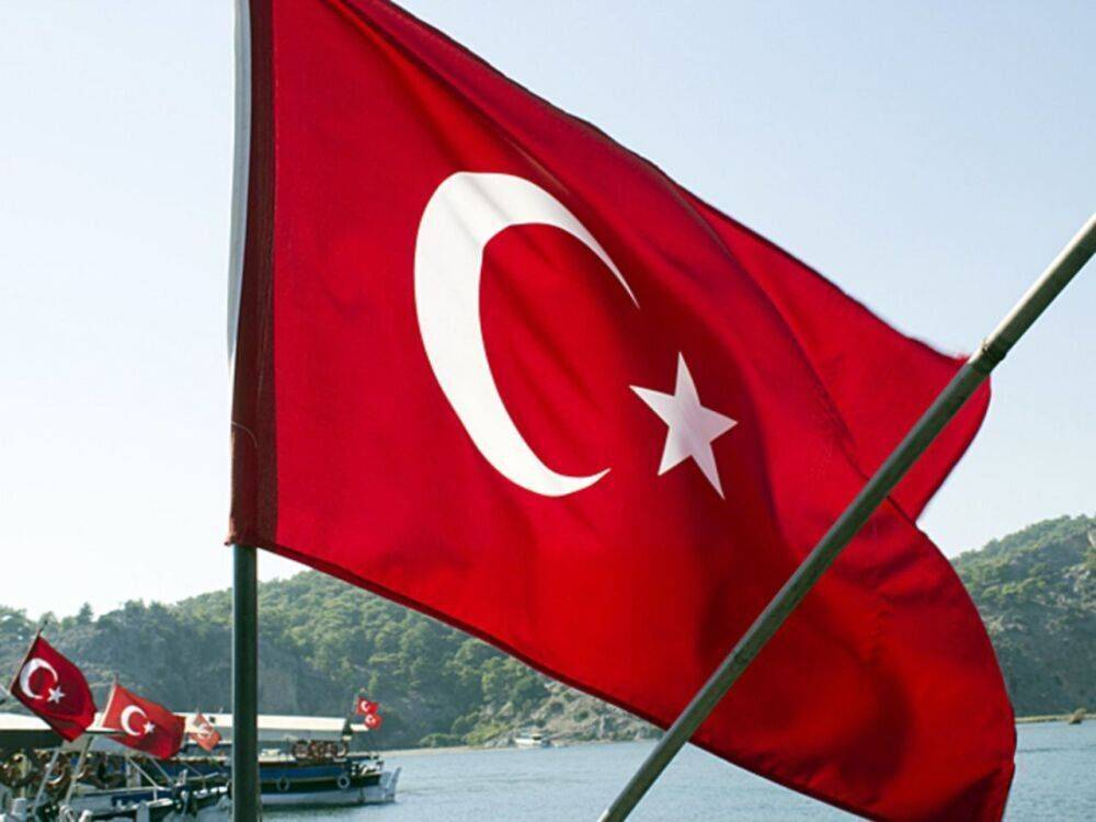 Bloomberg: Турция расследует происхождение зерна на борту задержанного российского сухогруза