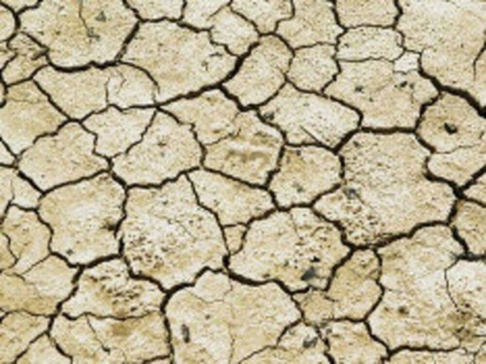 В пяти регионах Италии введен режим ЧС из-за рекордной засухи