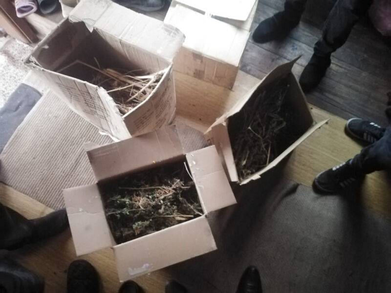 У жителя деревни Тверской области нашли почти два кило конопли