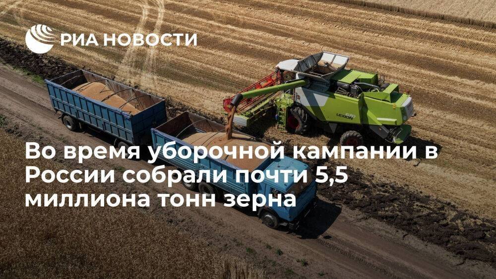 Глава Минсельхоза Патрушев заявил, что аграрии собрали почти 5,5 миллиона тонн зерна