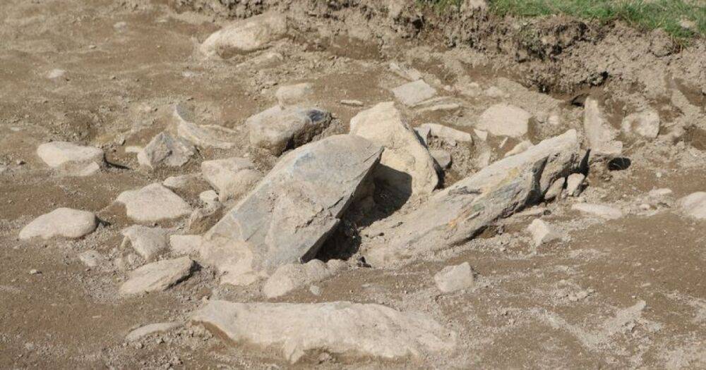 В Британии обнаружили гробницу, которой могут быть тысячи лет (фото)