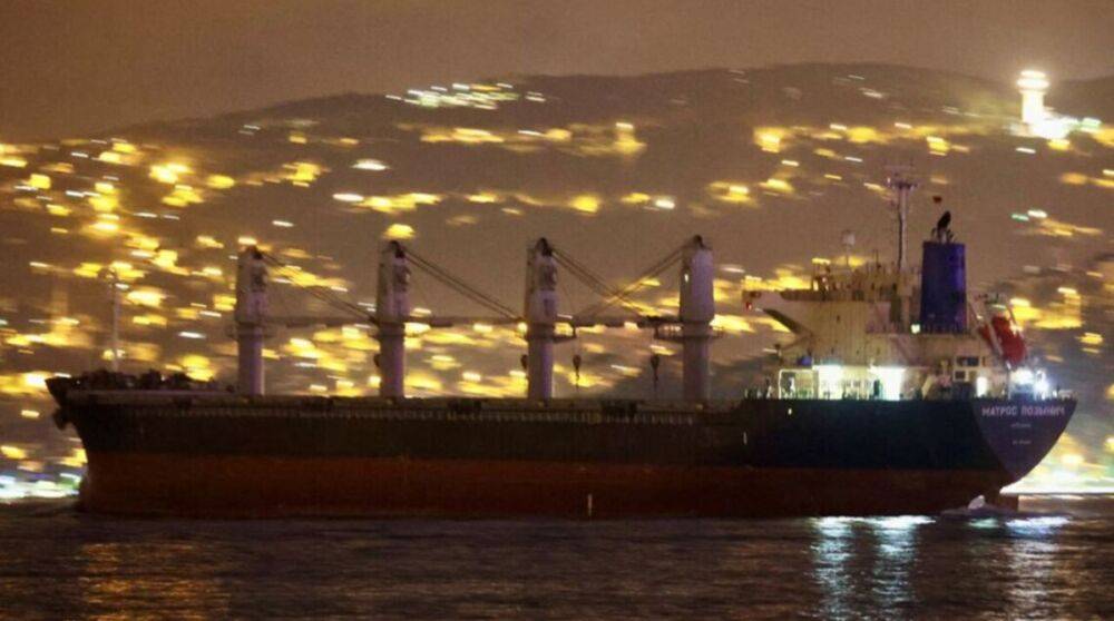 Украина попросила Турцию проверить три судна россии на наличие краденого зерна