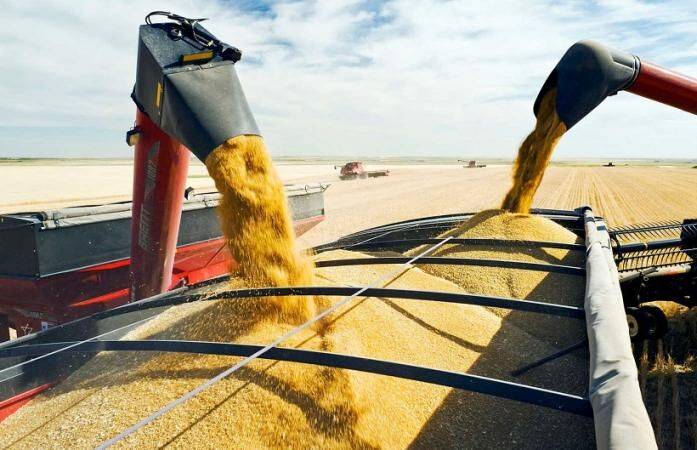 С начала войны Украине удалось экспортировать 5,2 млн тонн зерна