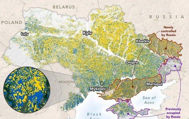 Оккупанты захватили 22% полей Украины - NASA