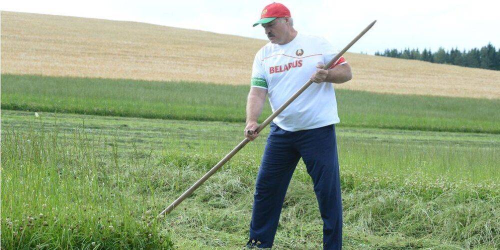 Отравит ли Путин Лукашенко? При каком условии Кремль готов пожертвовать минским сообщником — мнение эксперта