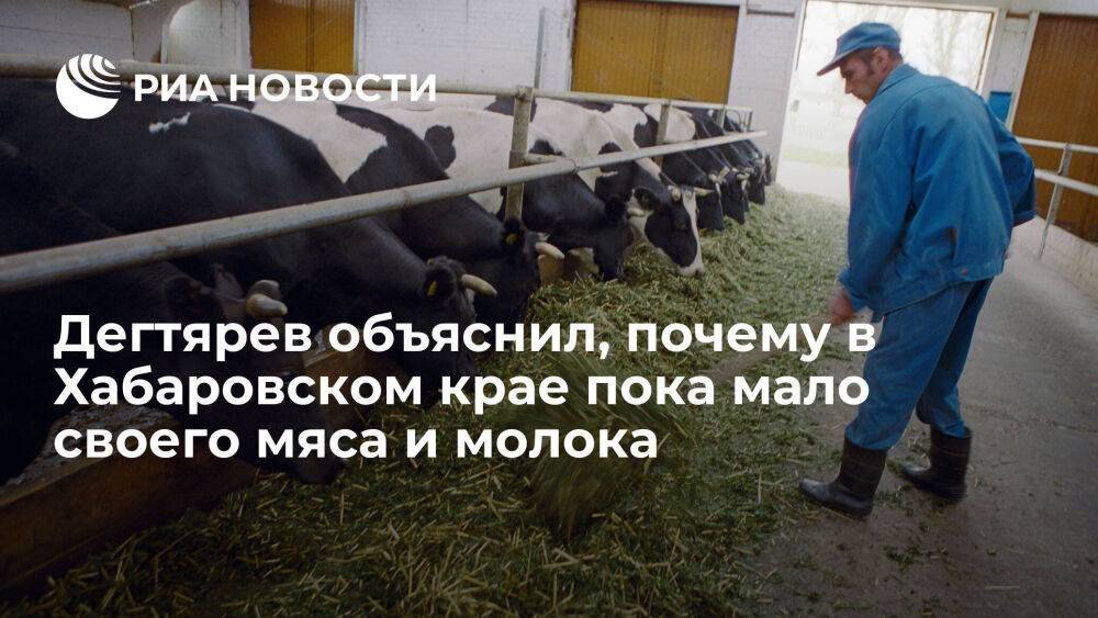 Глава Хабаровского края Дегтярев рассказал о новых проектах в сфере производства мяса