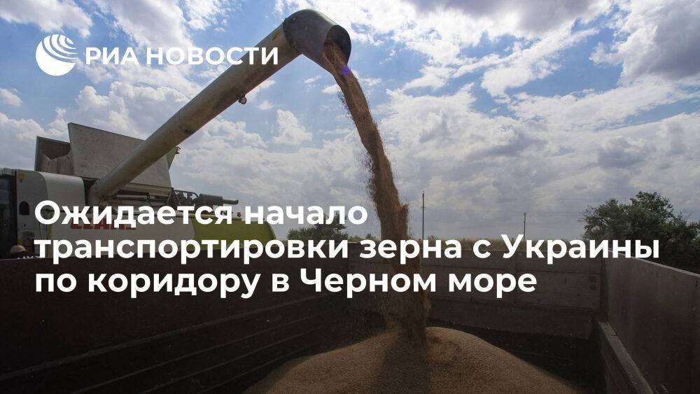 Начало транспортировки зерна с Украины по коридору в Черном море ожидается в понедельник
