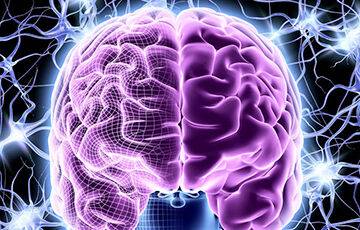 Ученые определили, как мозг связывает и различает реальность и воспоминания