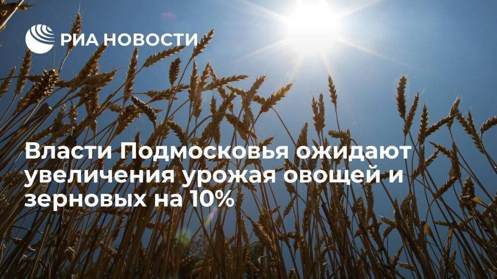Власти Подмосковья ожидают увеличения урожая овощей и зерновых на 10%