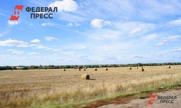 Уборочная кампания в Новосибирской области идет высокими темпами