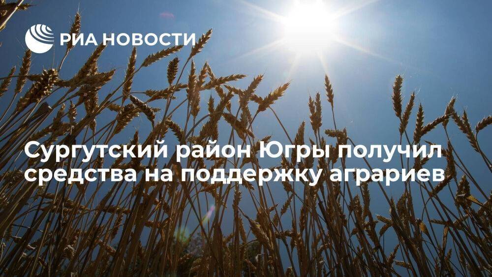 Сургутский район Югры получил более 80 миллионов рублей на поддержку аграриев