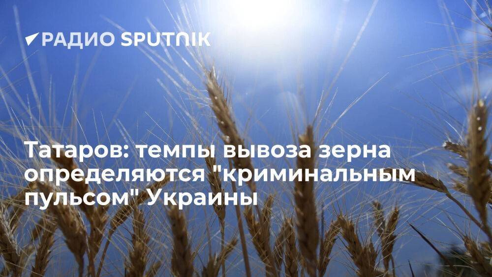 Татаров: темпы вывоза зерна определяются "криминальным пульсом" Украины