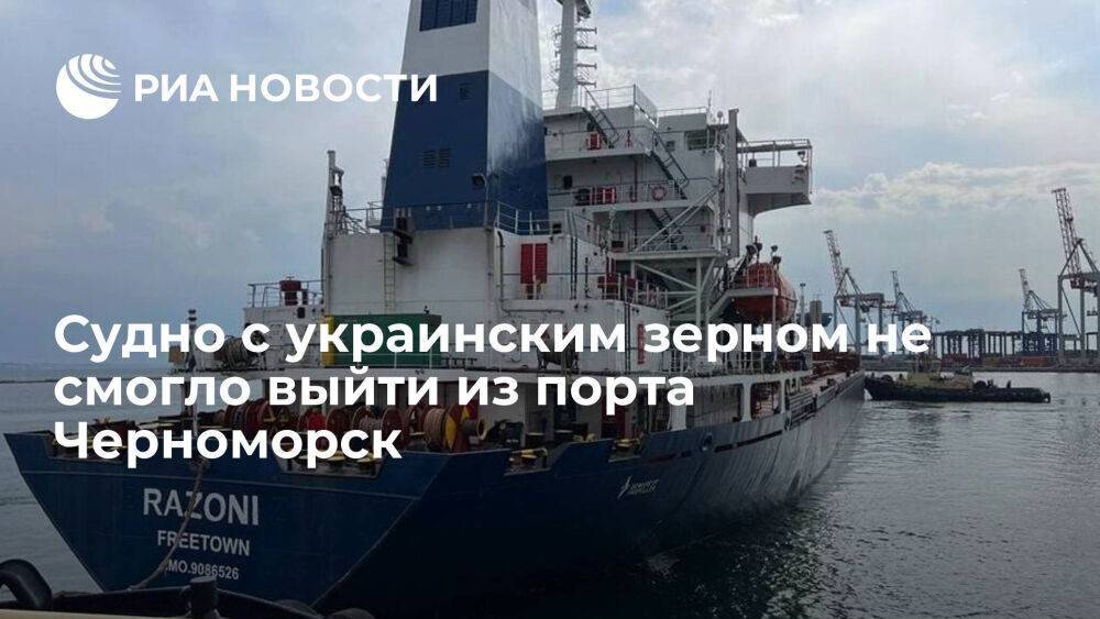 Судно с украинским зерном не смогло выйти из порта Черноморск из-за плохой погоды