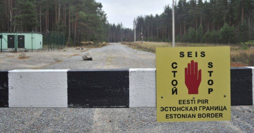Отмена шенгена: Эстония перестанет пускать к себе россиян