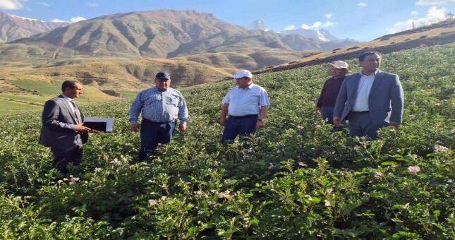 Заместитель Премьер-министра Таджикистана Сулаймон Зиёзода ознакомился с состоянием использования земель в Раштской зоне