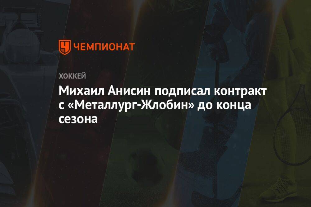 Михаил Анисин подписал контракт с «Металлург-Жлобин» до конца сезона
