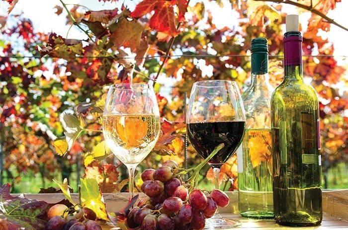 В Висбадене начинается «Неделя вина региона Рейнгау»