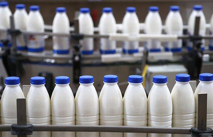 «Молоко и кефир в основном берут. Что будем делать с пенсионерами?» Лукашенко ответил губернатору на предложение поднять цены на цельномолочку