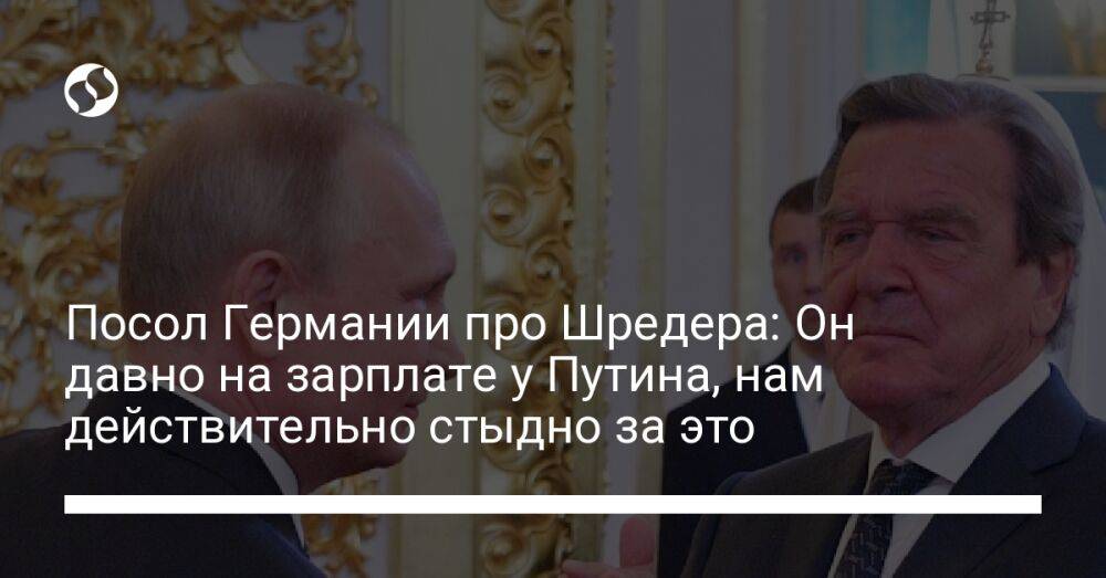 Посол Германии про Шредера: Он давно на зарплате у Путина, нам действительно стыдно за это