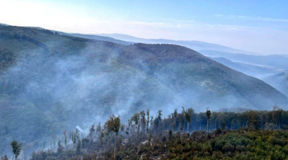 На Закарпатье третьи сутки бушует масштабный лесной пожар, к тушению огня привлекли авиацию