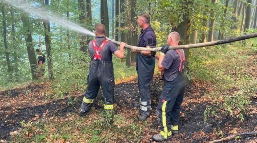 Спасатели потушили масштабный лесной пожар в Закарпатской области