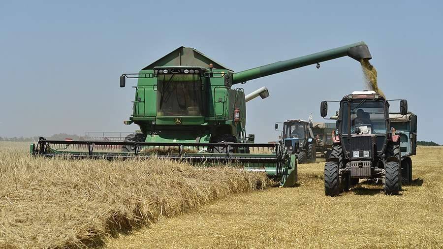 Эксперт спрогнозировал рекордный урожай зерновых в России в 2022 году