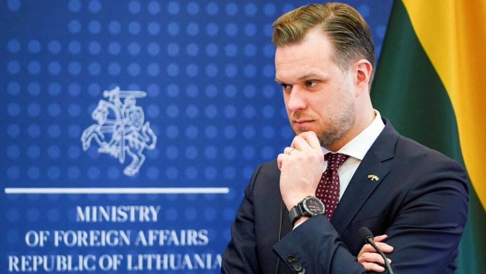 Глава МИД Литвы: запрет на выдачу виз россиянам создаст оппозицию Путину