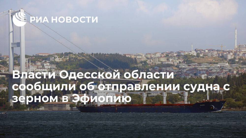 Губернатор Одесской области Марченко: судно с украинским зерном отправилось в Эфиопию